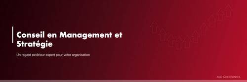 management - AGIL ASSO KONSEIL